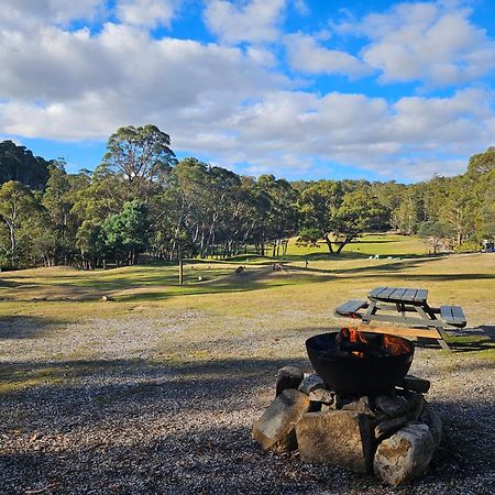 Craggy Peaks Wilderness Cabins Rossarden 外观 照片