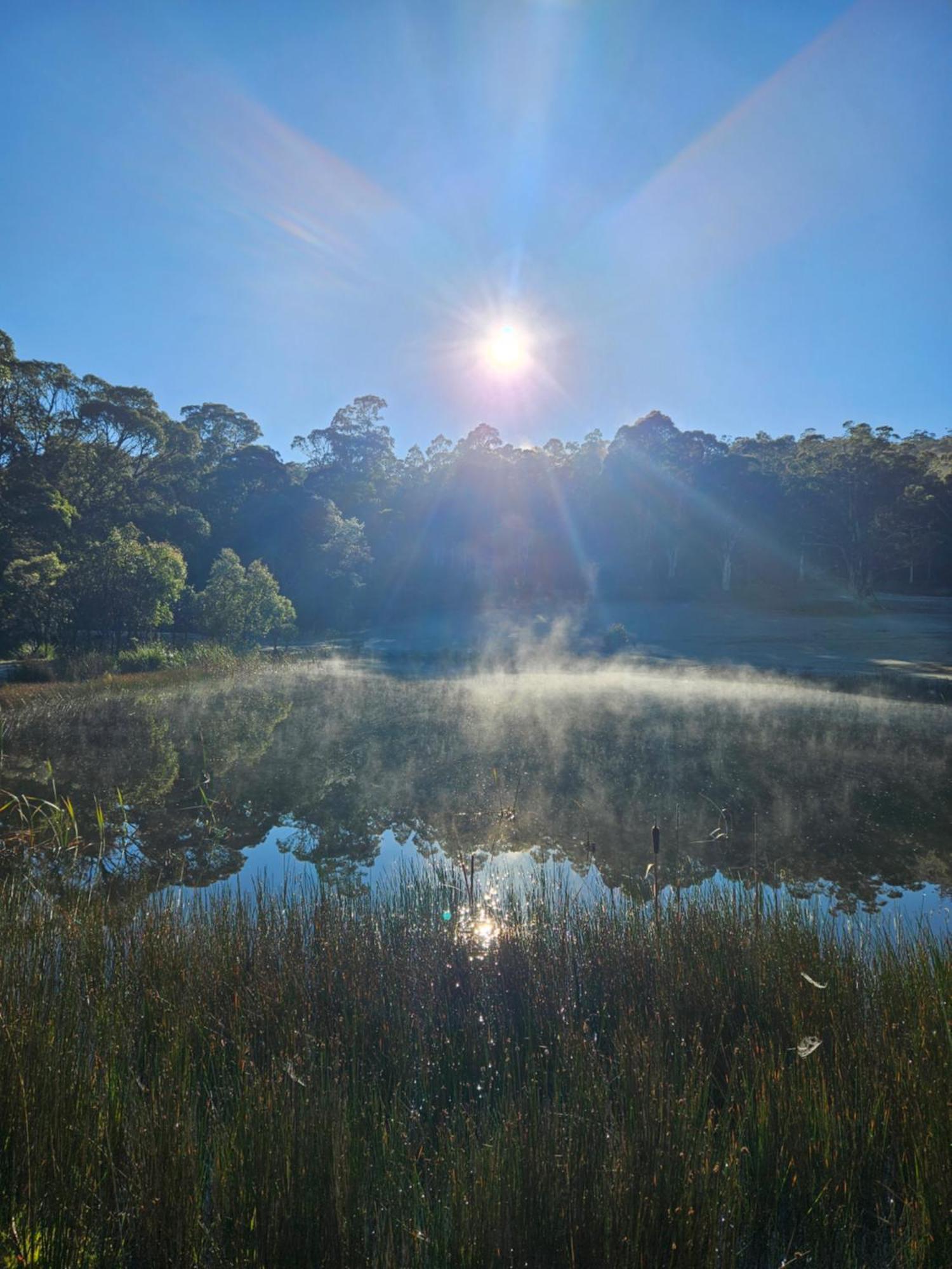 Craggy Peaks Wilderness Cabins Rossarden 外观 照片