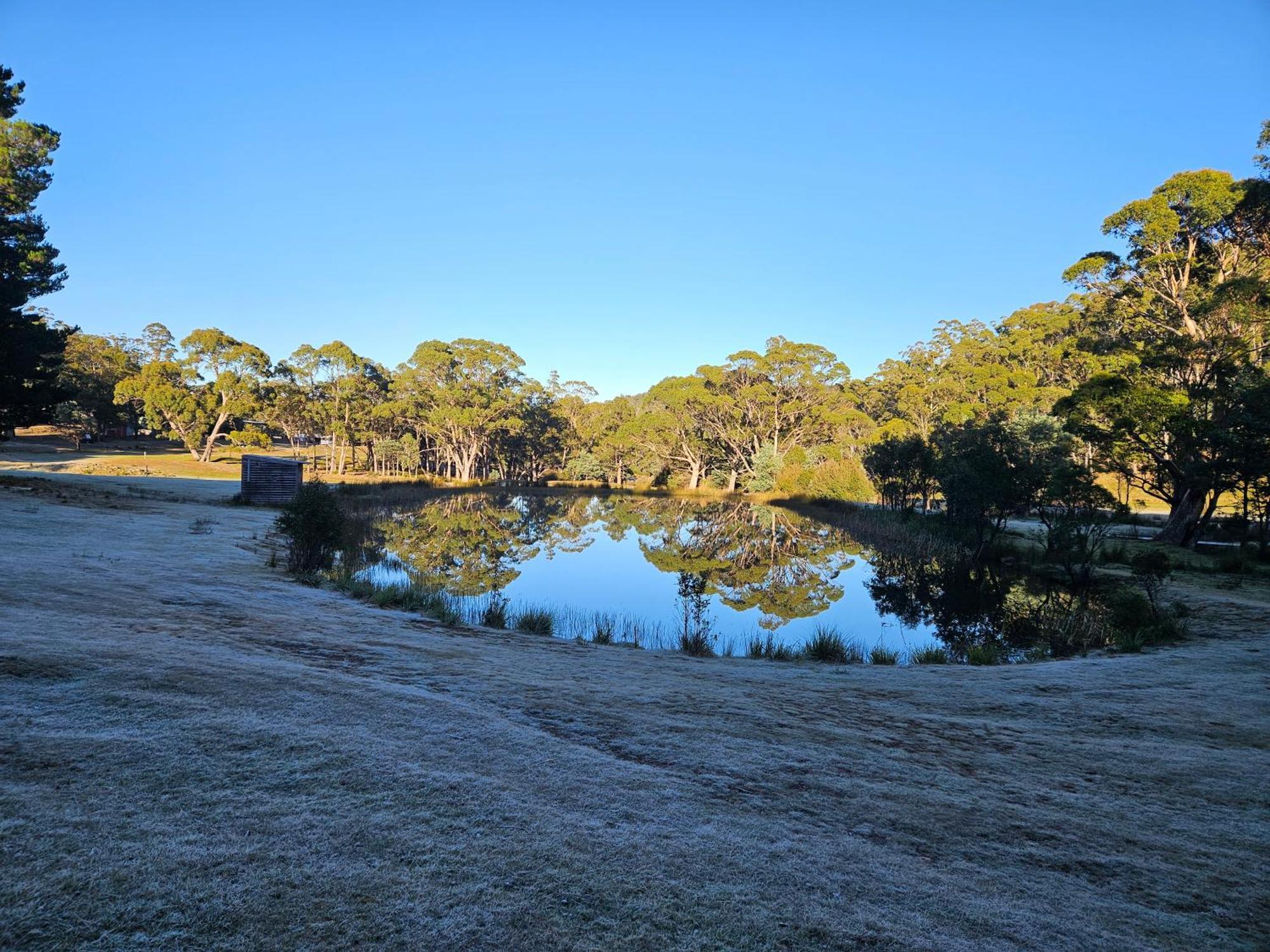 Craggy Peaks Wilderness Cabins Rossarden 外观 照片